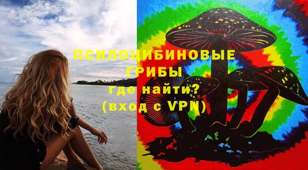 ГАЛЛЮЦИНОГЕННЫЕ ГРИБЫ Алексин