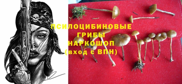 прущие крисы Алзамай