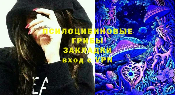 spice Алексеевка