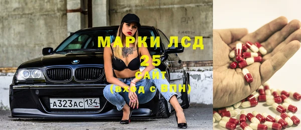 ГАЛЛЮЦИНОГЕННЫЕ ГРИБЫ Алексин