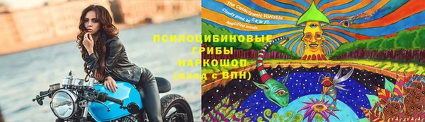 spice Алексеевка