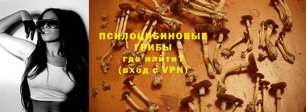 прущие крисы Алзамай