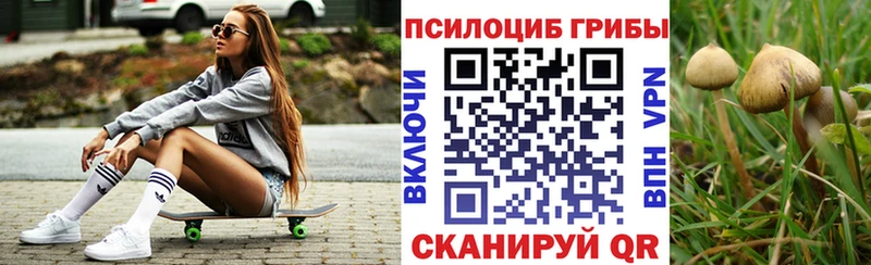 Псилоцибиновые грибы прущие грибы Данков